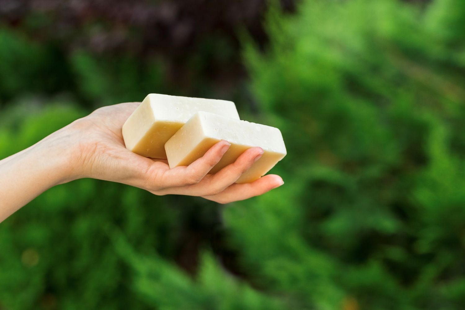 Eco-friendly bar soap